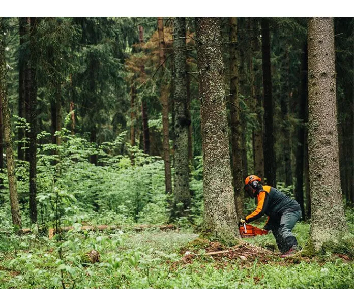 501 1 block text image image