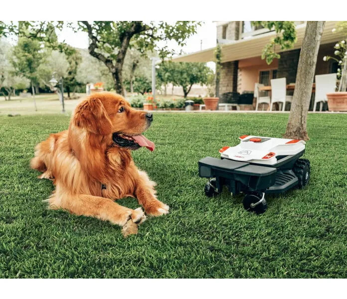 Ambrogio Twenty ZR 002 image