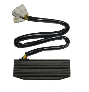 Electrosport Latauss./Tasasuunt. Suzuki kuva