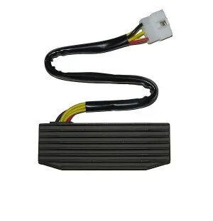 Electrosport Latauss./Tasasuunt. Suzuki kuva