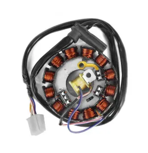 TNT Alakäämi, Moric-malli, Minarelli AM6 07- PowerUp, 12-kääminen kuva