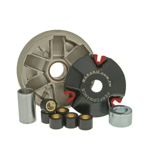 Naraku Variator Sport, Aprilia 2-T (Piaggio) / Gilera 2-T / Piaggio 2-T kuva