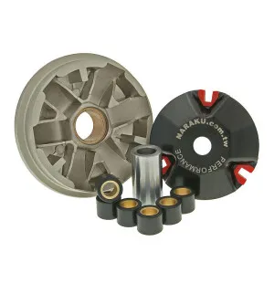 Naraku Variator Sport, Peugeot 2-T / Honda 2-T kuva