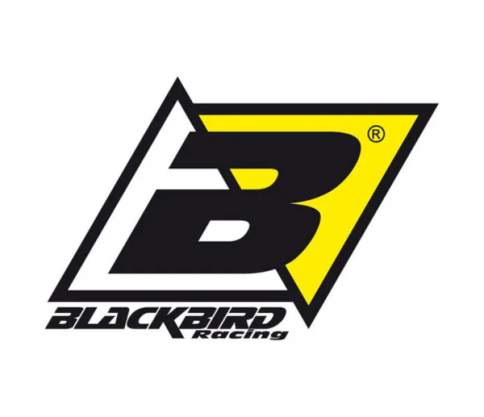 382-blackbirdlogo kuva