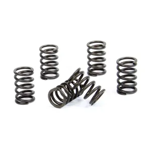 ProX Clutch Spring Kit KTM65SX '00-08 kuva