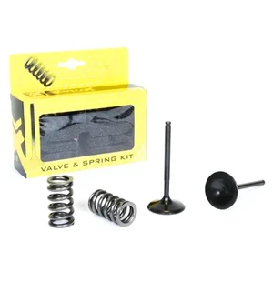 ProX Steel Intake Valve/Spring Kit YZ450F '10-13 kuva