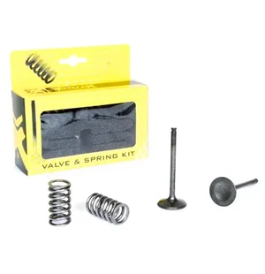 ProX Steel Exhaust Valve/Spring Kit YZ/WR450F '03-09 kuva