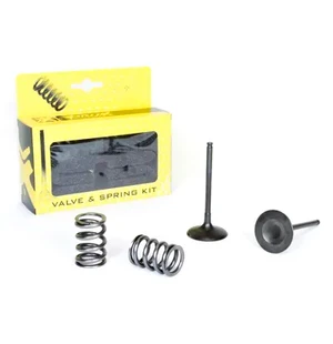 ProX Steel Intake Valve/Spring Kit RM-Z450 '05-06 kuva