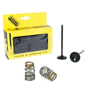 ProX Steel Intake Valve/Spring Kit KTM250SX-F/EXC-F '05-07 kuva