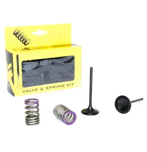 ProX Steel Intake Valve/Spring Kit KX250F '09-10 kuva