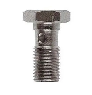 Goodridge Banjo bult 10X1.00mm image