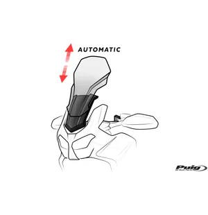 Puig Electronic Regulation System Ers Triumph Tiger kuva