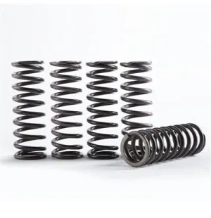 Hinson Clutch Springs YZ250F 14-18 YZ250FX/WR250F 15- kuva