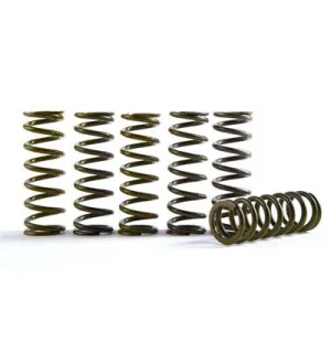 Hinson Clutch Springs YZ250F 19- kuva