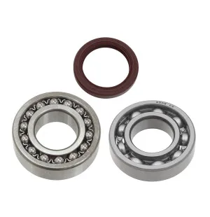 Sno-X Ketjukotelon laakerisarja YAMAHA kuva