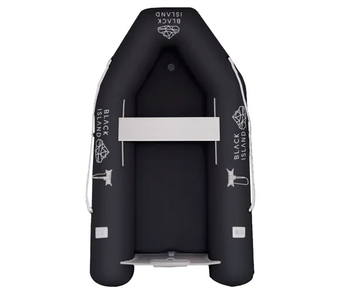 100-10091 image