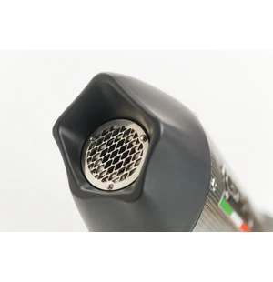 GPR Husqvarna Vitpilen 401 2018/19 e4 EC-Approv. slip-on exhaust GP Evo4 Poppy kuva