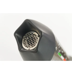GPR Bmw C 650 Sport 2016/20 e4 EC-Approv. slip-on exhaust GP Evo4 Poppy kuva