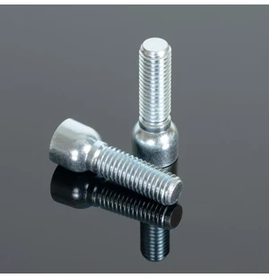 Renthal Spare Bolts M10X42mm (CL060 & CL061 FB36) kuva