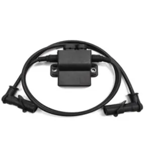 Bronco CDI-Box/ Tändspole Polaris image