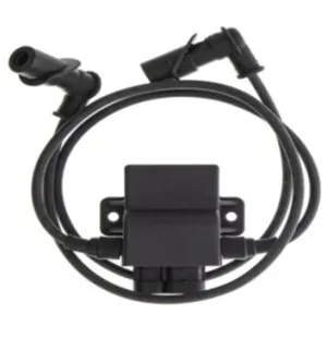 Bronco CDI-Box/ Tändspole Polaris image