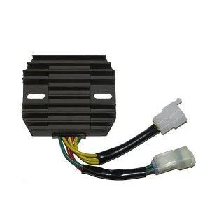Electrosport Latauss./Tasasuunt. Suzuki SV/DL kuva