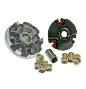 Naraku Variator Racing, Minarelli Liggande, Stående kuva