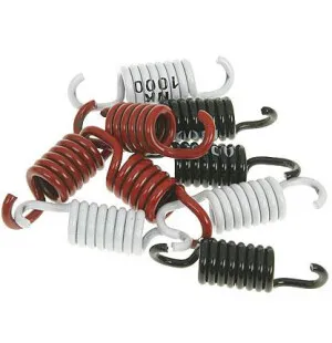 Naraku Kopplingsfjäder sats Sport, Minarelli / Aprilia / MBK / Yamaha kuva