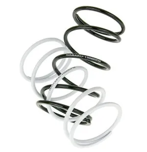 Naraku Mottrycksfjäder sats Sport, Aprilia / Kymco / Peugeot / Piaggio / SYM kuva