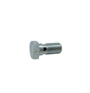 Banjopultti, M10 x 1.00 , p. 26mm, AJP & Brembo kuva