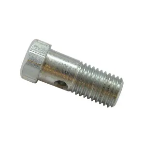 Banjopultti, M10 x 1.25 , p. 28,2mm, AJP & Brembo kuva