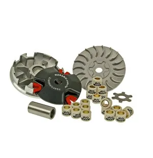 Naraku Variator HS Racing , Minarelli Liggande, Stående kuva