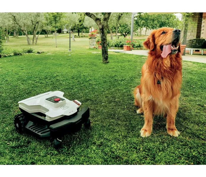 Twenty 25 Elite 1 image