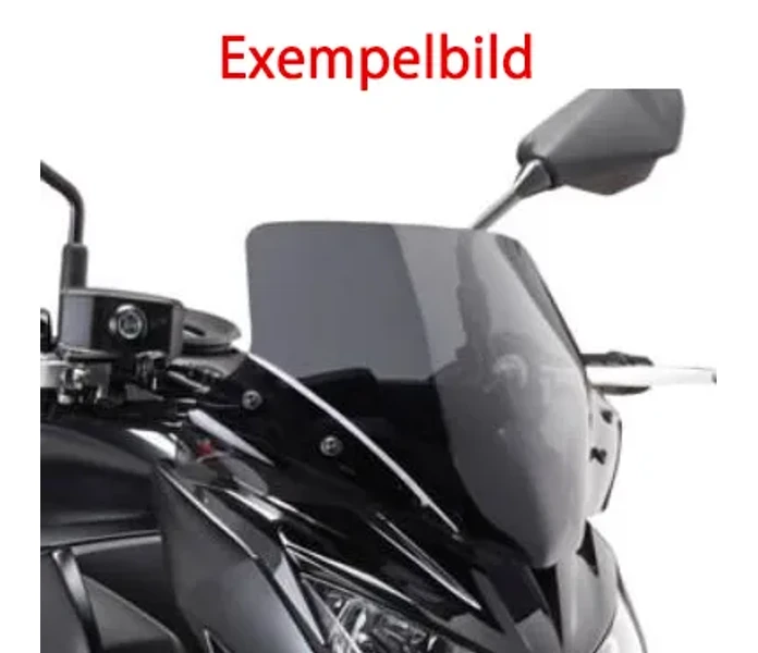 973fe2547f1a35cc3594abc0ae64d8a25aad6e75_323_A163A kuva