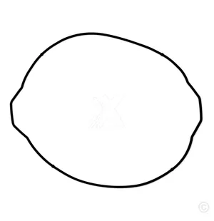 ProX Clutch Cover Gasket KTM250SX-F '05-12 + 250EXC-F '05-13 kuva