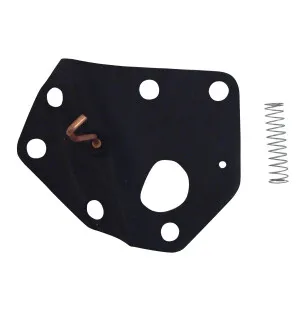 Rotary Kaasuttimen kalvosarja, B&S Vacu-Jet  kuva