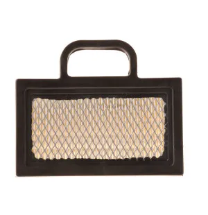 Greentek Ilmasuodatin, B&S 14-24hk Intek kuva