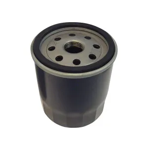 Sunwa Öljysuodatin, B&S (79mm) / Kohler kuva