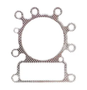 Eurogarden Kannentiiviste, B&S 13-15,5hv OHV kuva