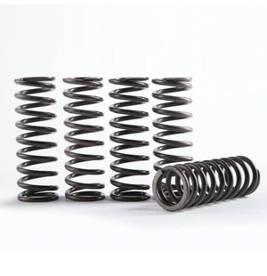 Hinson Clutch Spring Kit- High Temp Set Of 5 kuva