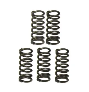 Italkit Kytkinjousisarja, Racing, Aprilia RX,SX 06- / Derbi Senda 98- / Gilera kuva