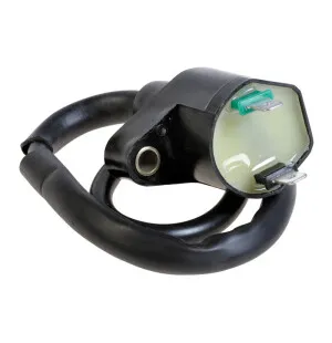 Forte Sytytyspuola, Honda Monkey 1987-91 kuva