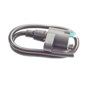 Forte Sytytyspuola, 2-liit., Yleismalli, Kiina-skootterit / Keeway / Kymco / Peu kuva