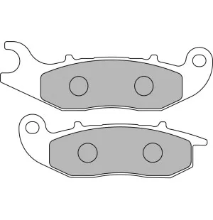 Elig Jarrupalat, Rieju MTR Competizione kuva