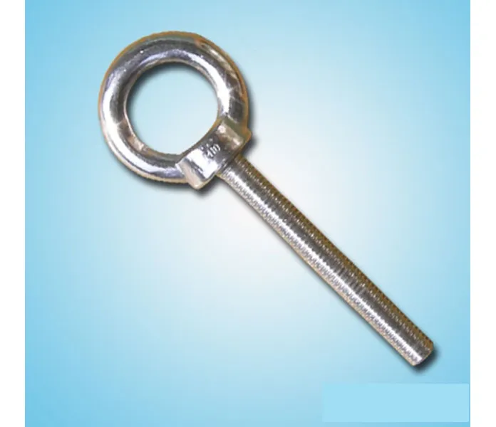 Eye_Bolt_AISI kuva