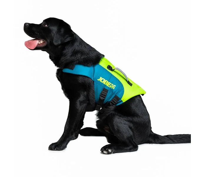 220aa90a85d35eb79ed68a3c41158987895ff3b2_130_3_240023001_dog kuva