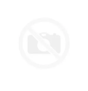 Suodatin märkä- ja kuivaimurille ASP 15, Scheppach kuva