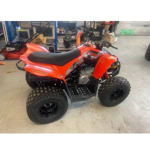 Can Am DS 90 image