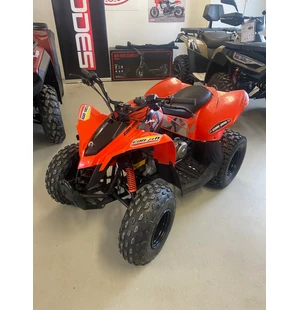 Can Am DS 90 image