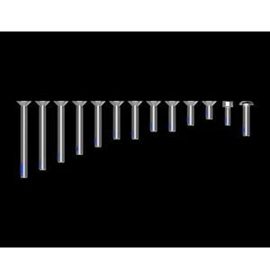 Quad Lock Replacement Screw Set (V2) kuva